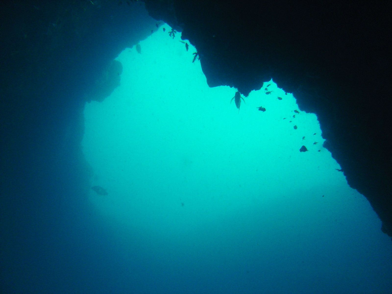 Aliwal Shoal