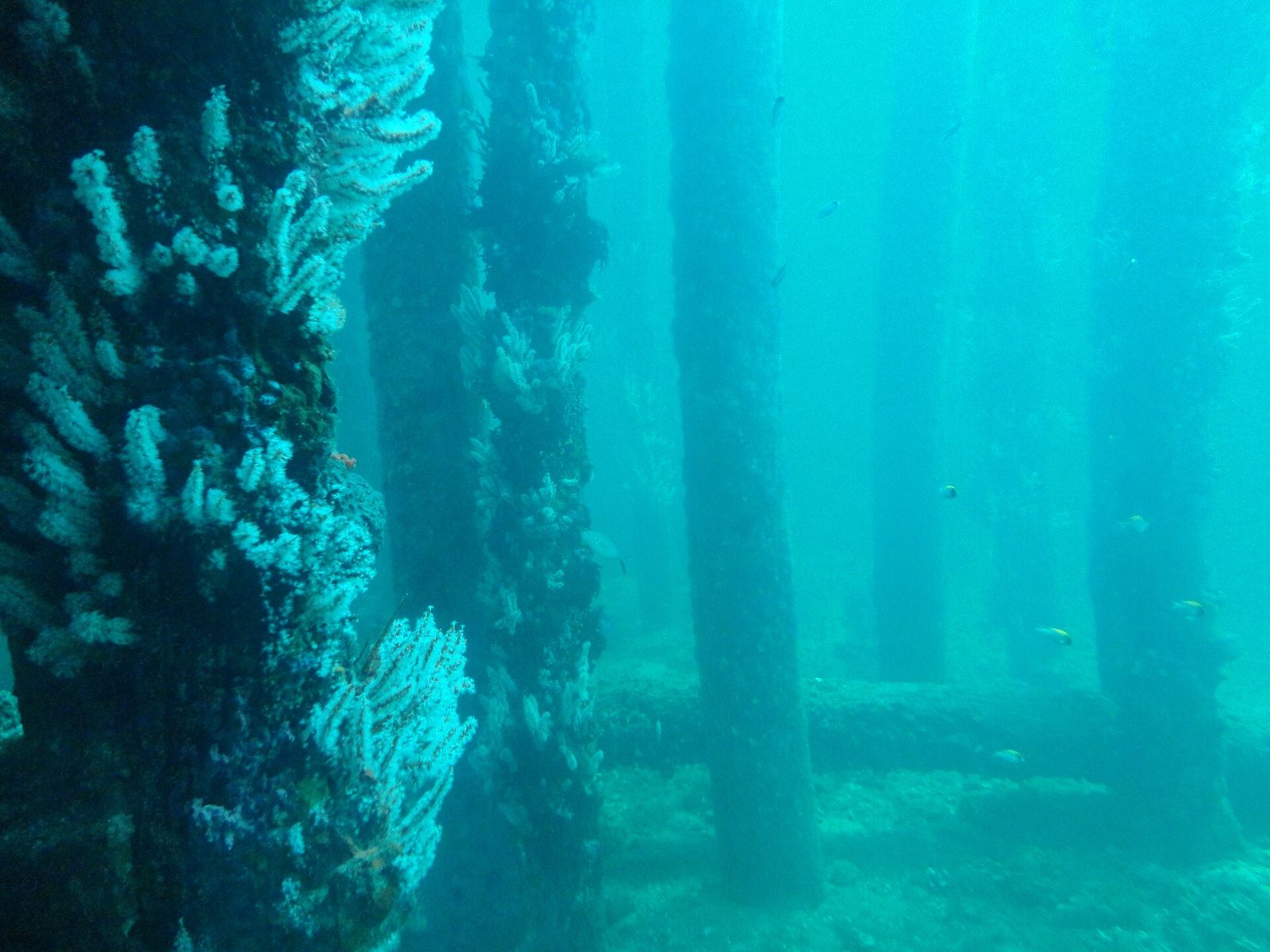 Busselton Jetty