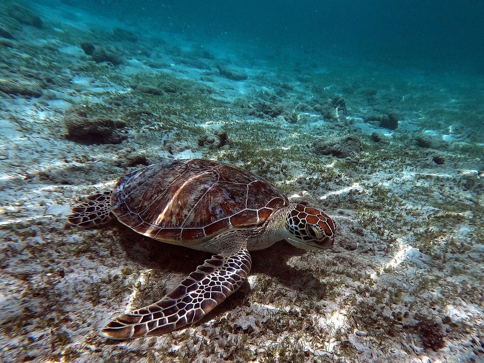 Gili Islands
