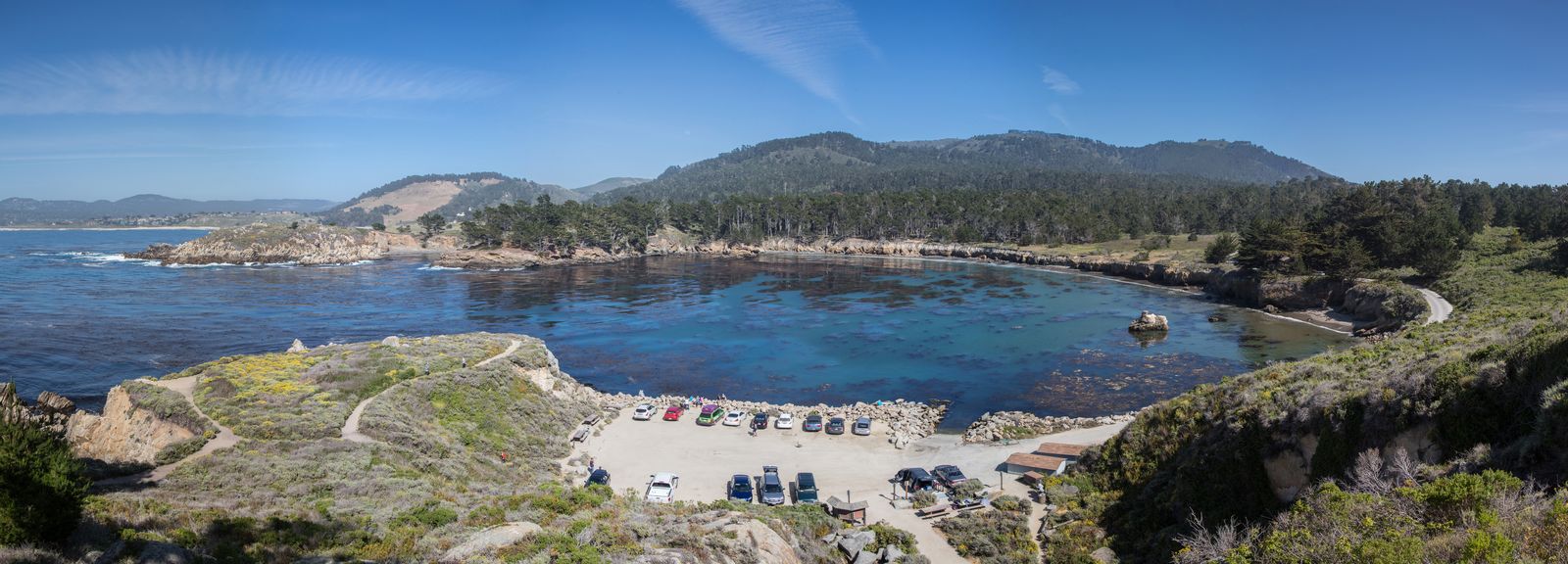 Monterey · Kelp Forests