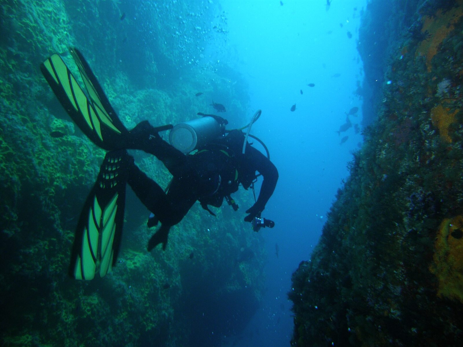 Poor Knights Islands